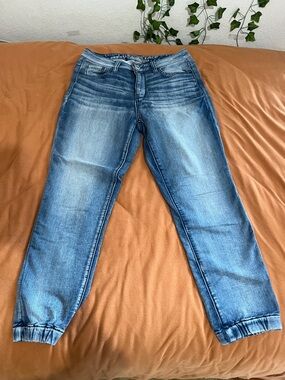 American Eagle Stretchy Demin Joggers